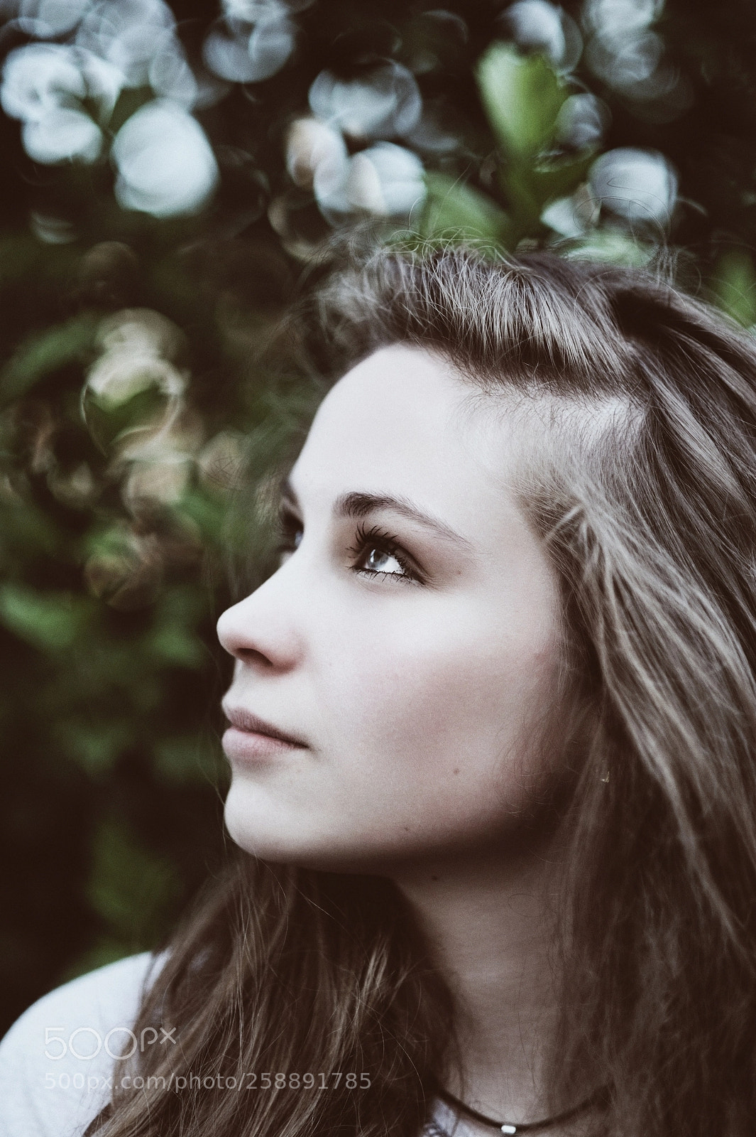 Nikon D700 sample photo. . sophia . photography