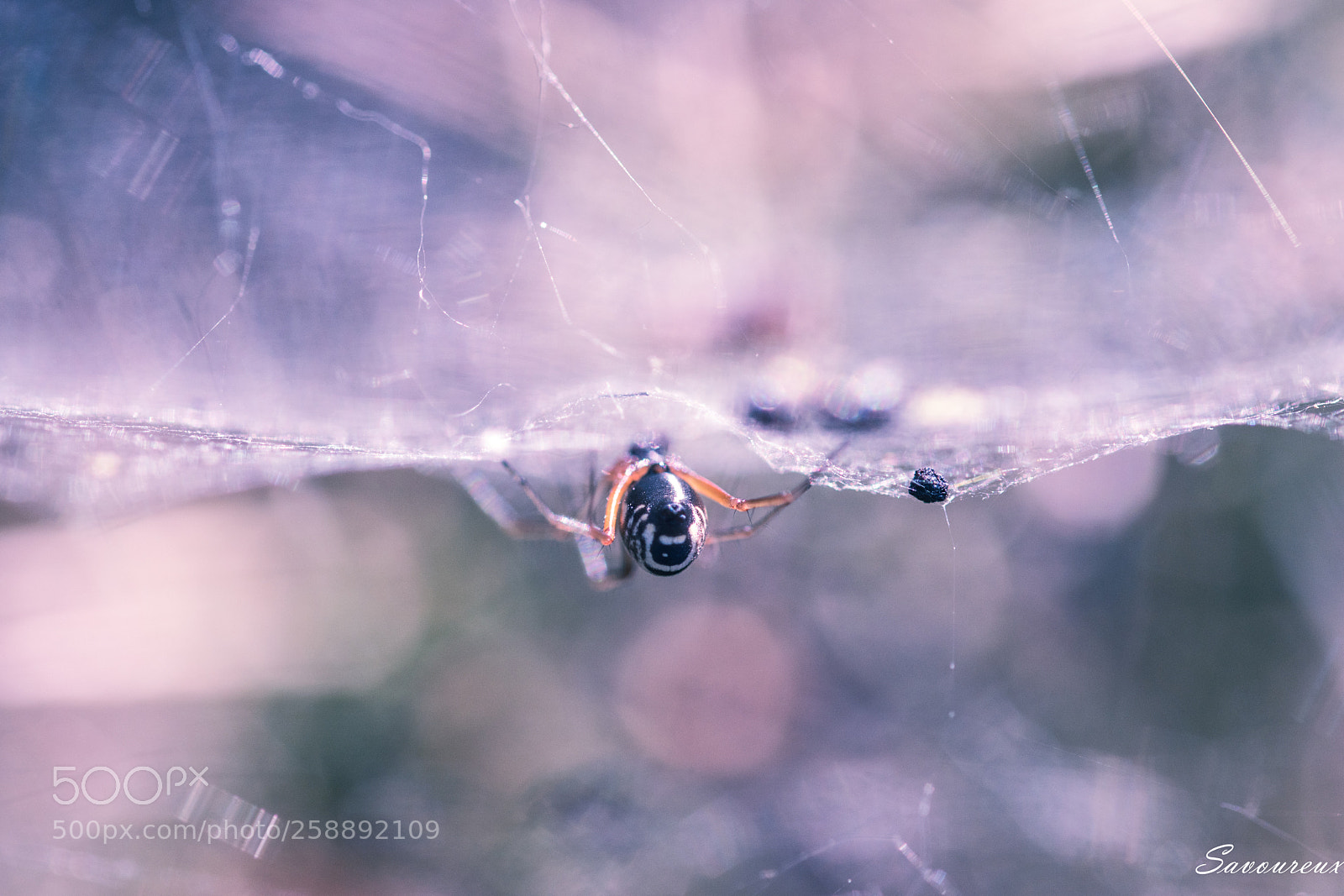 Nikon D5500 sample photo. Alone photography