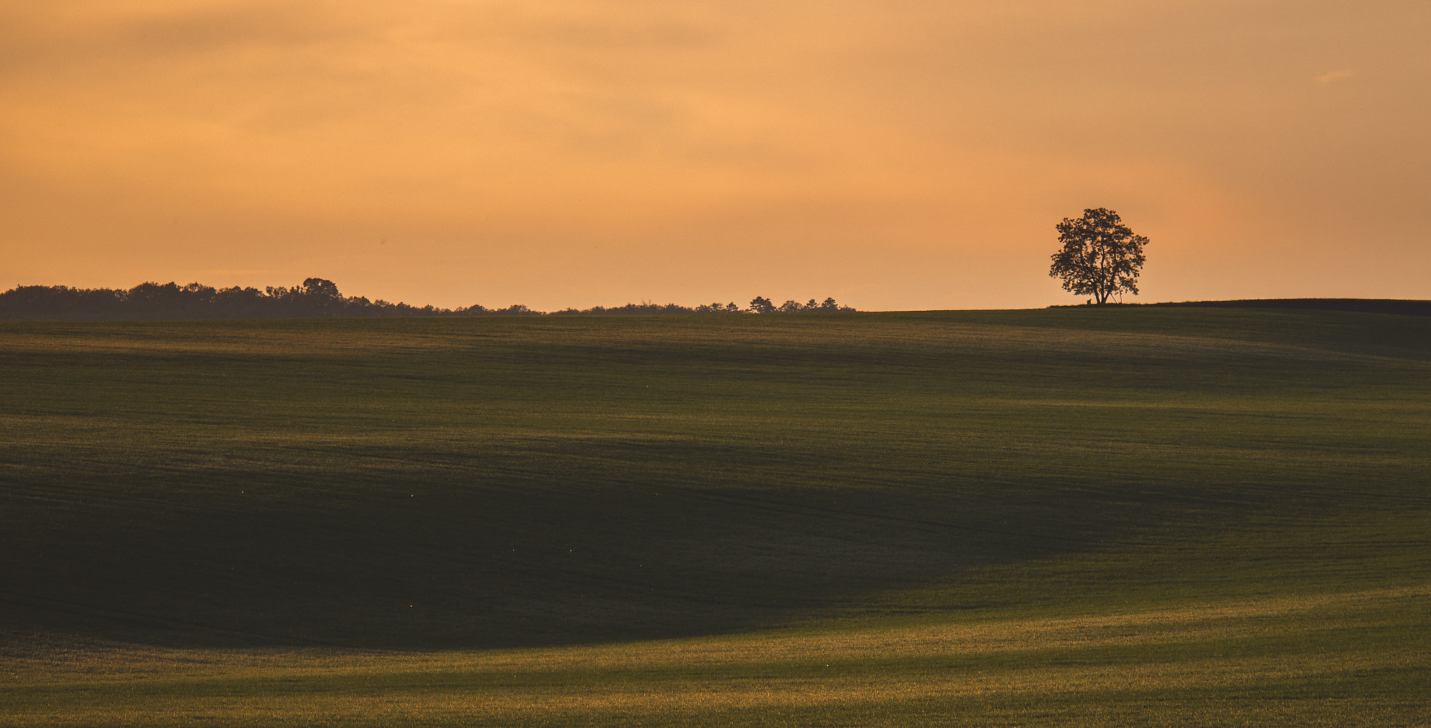Panasonic Lumix DMC-G85 (Lumix DMC-G80) sample photo. Lonely twilight photography