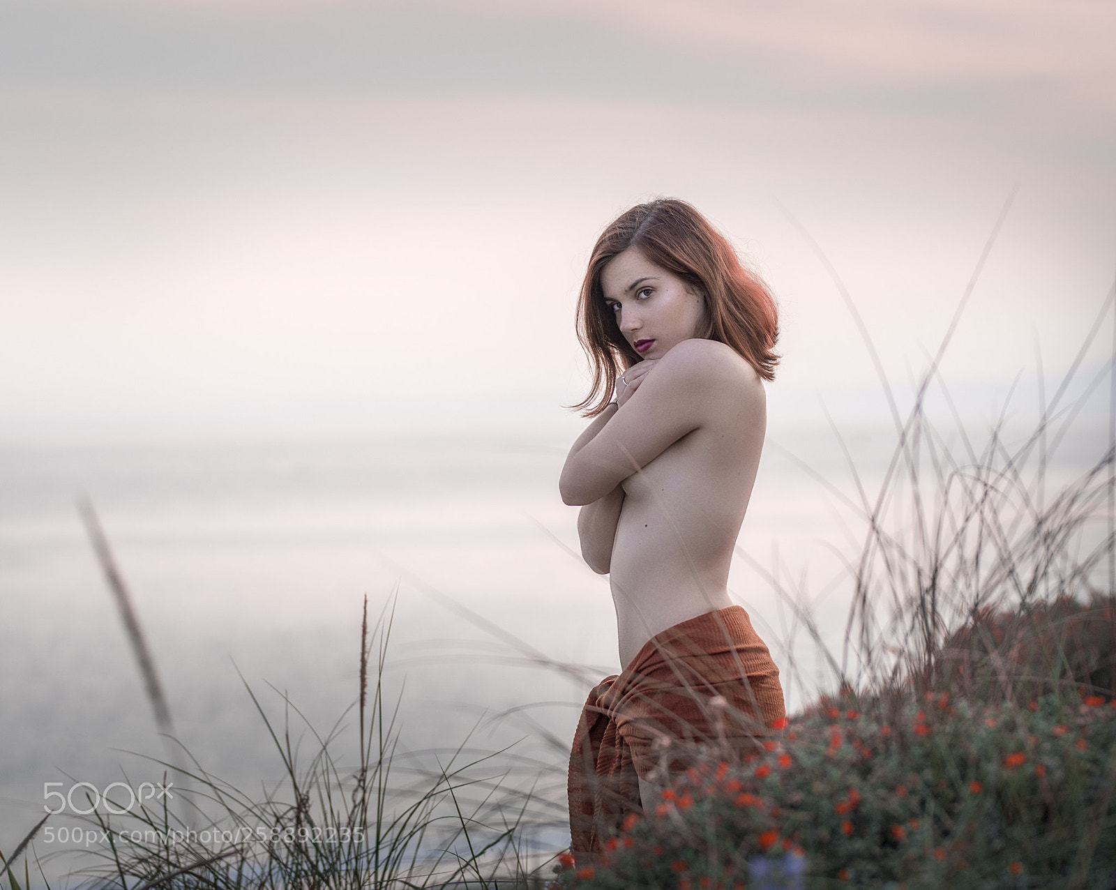 Nikon D810 sample photo. Untitled photography