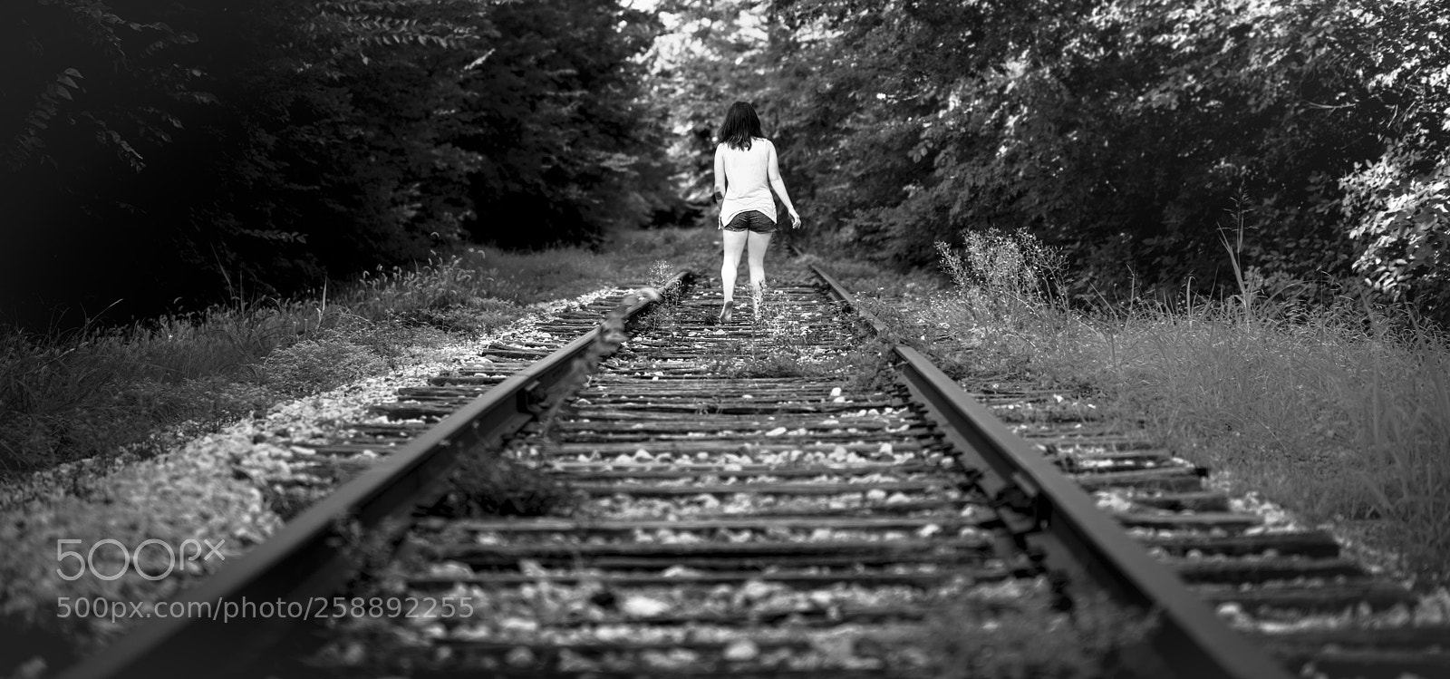 Sony a7R sample photo. The long goodbye photography