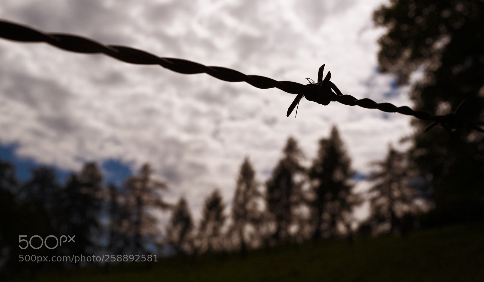 Fujifilm X100F sample photo. Barbed wire photography