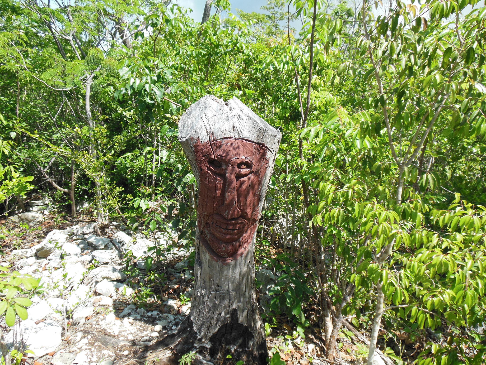 Nikon Coolpix S6300 sample photo. Tribal face photography