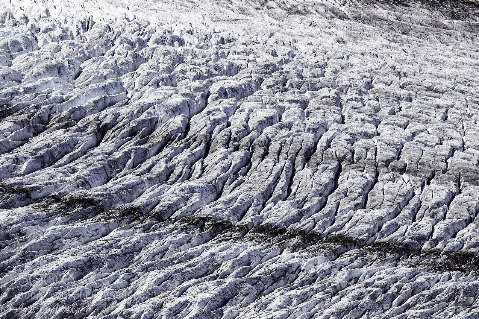 Canon EOS 6D sample photo. Aletsch photography