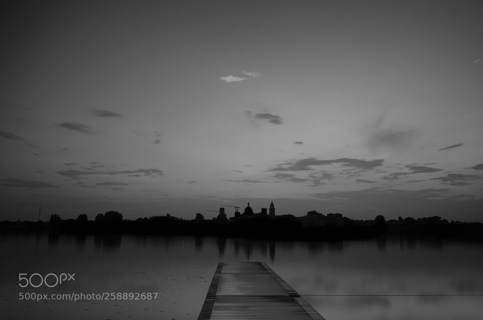 Nikon D5100 sample photo. Untitled photography
