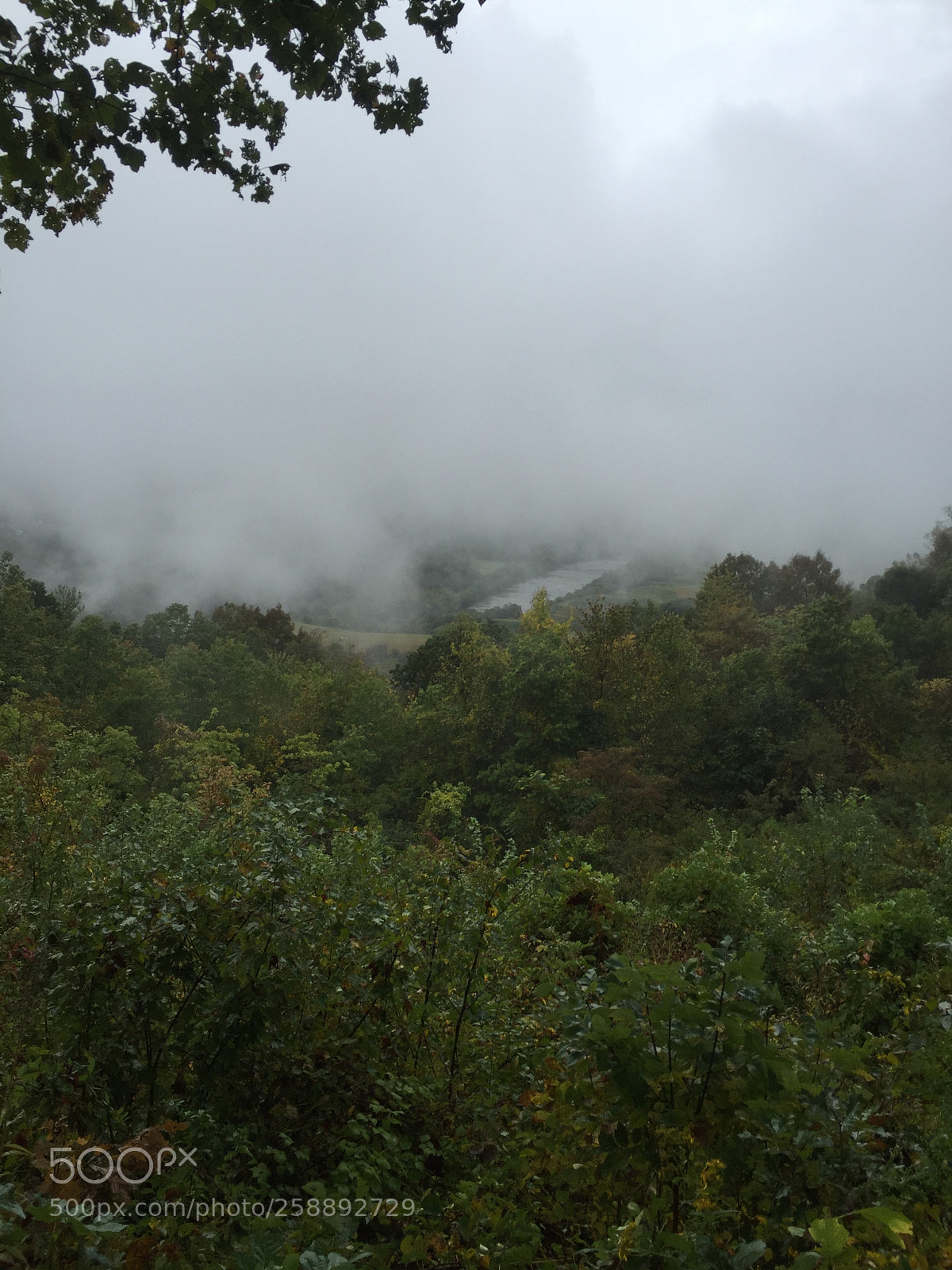 Apple iPhone 6 sample photo. 2015-09-25 17.01.36.jpg photography