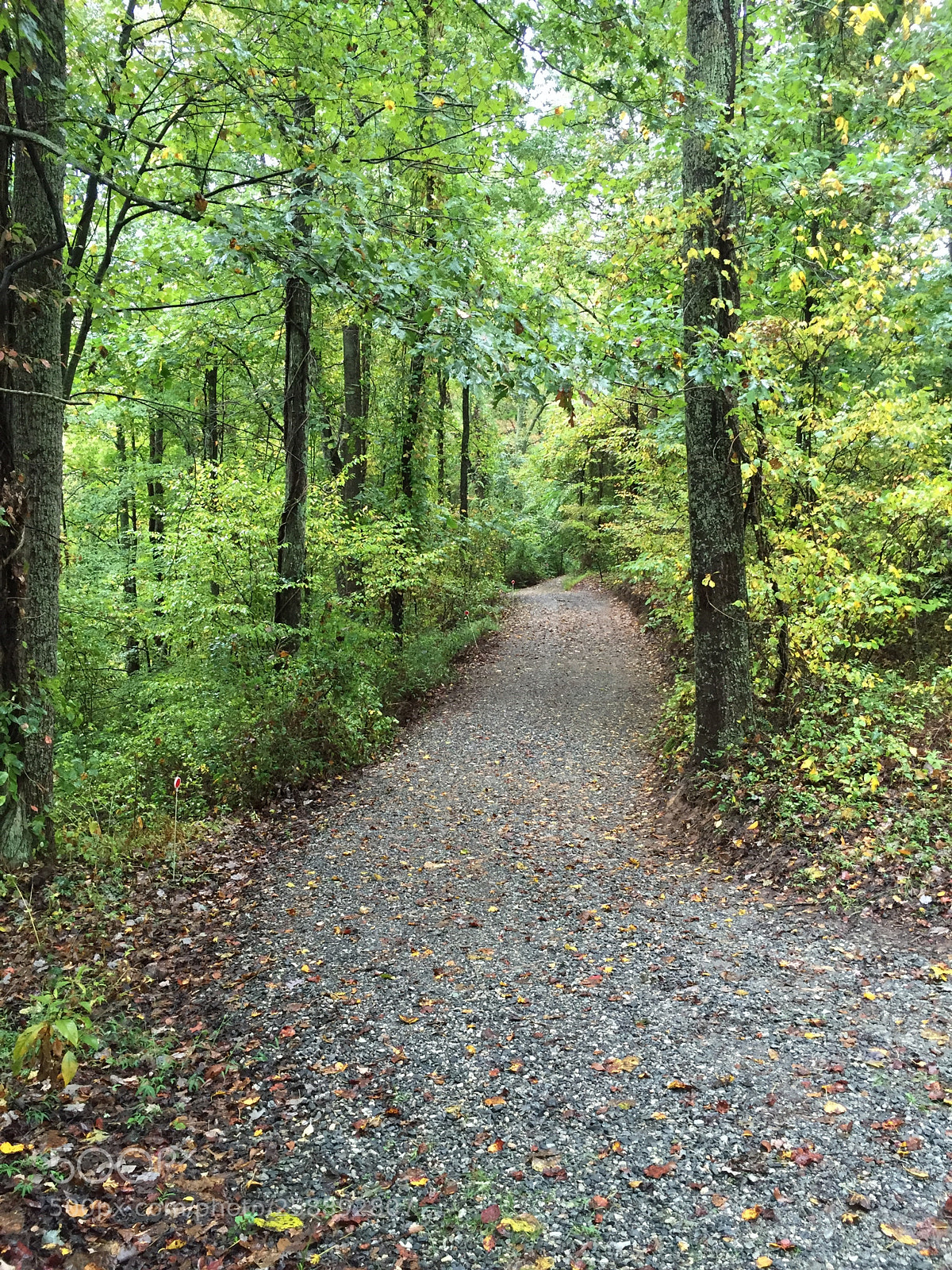 Apple iPhone 6 sample photo. 2015-09-26 08.34.10.jpg photography
