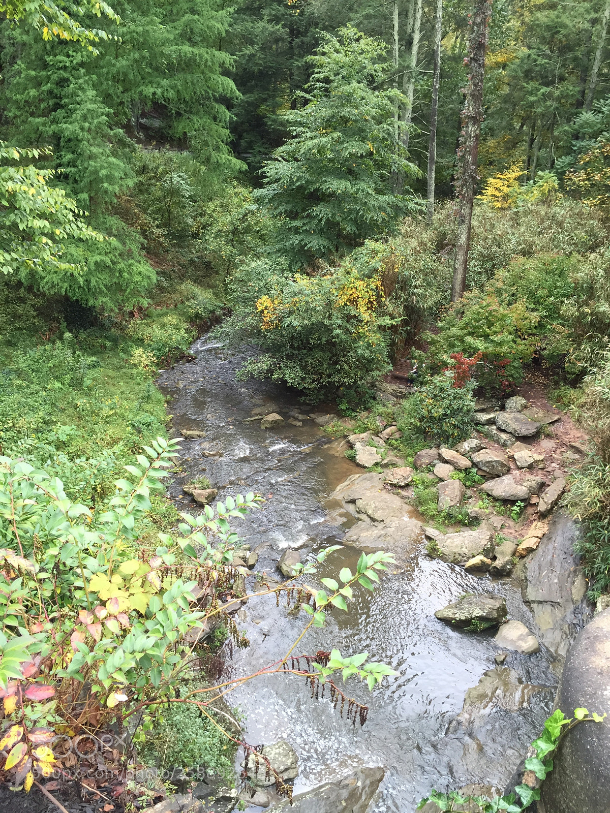 Apple iPhone 6 sample photo. 2015-09-26 11.59.33.jpg photography