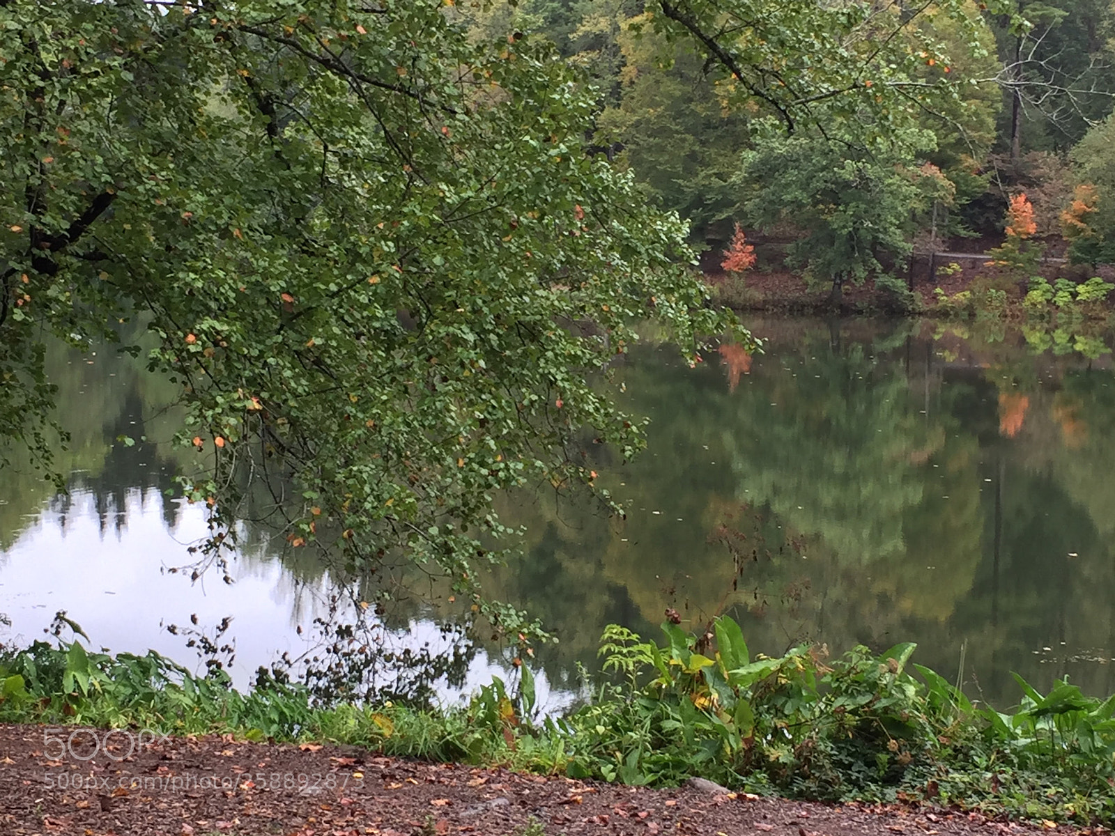 Apple iPhone 6 sample photo. Hdr photography