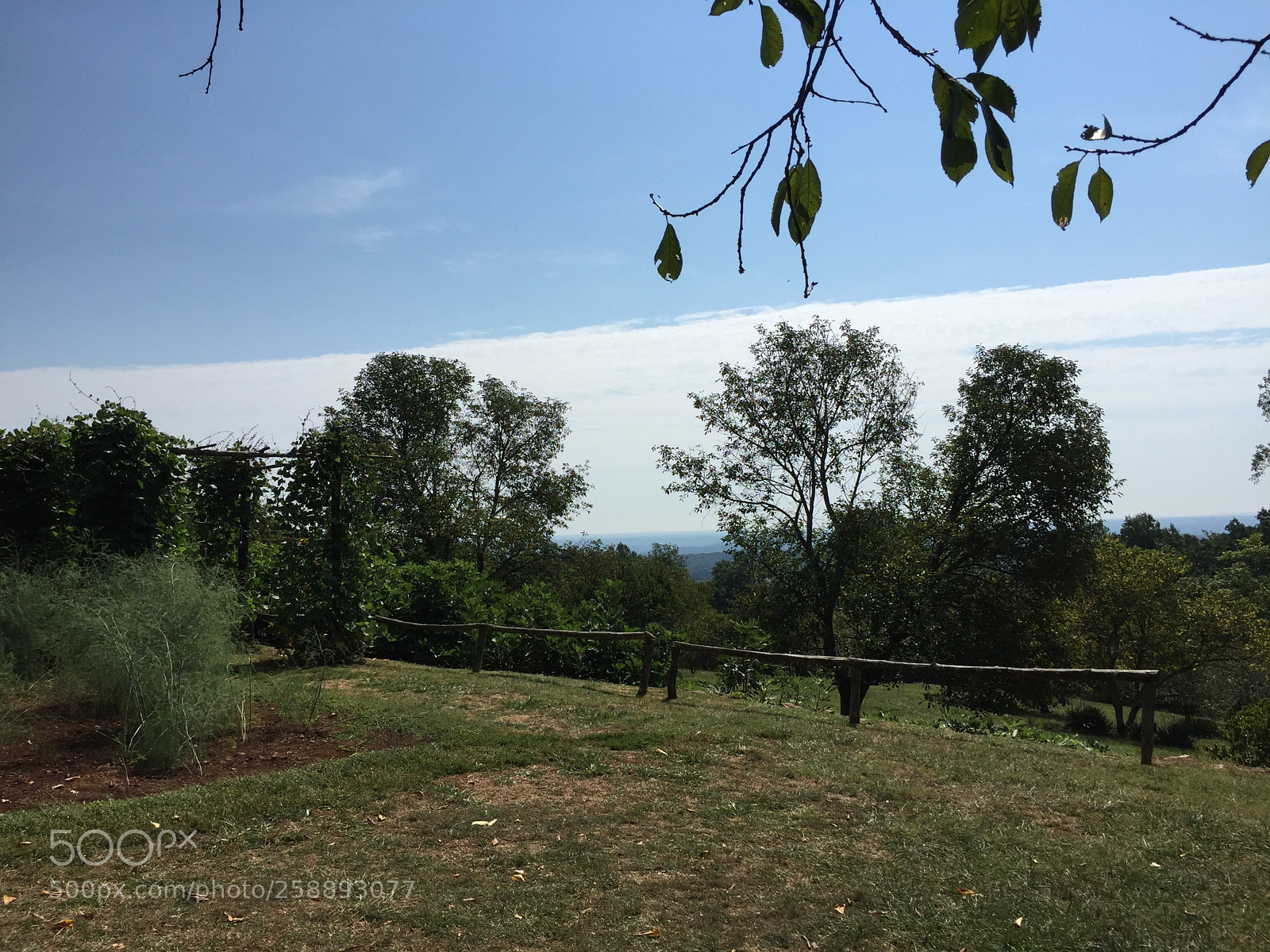 Apple iPhone 6 sample photo. 2016-09-10 11.25.22.jpg photography