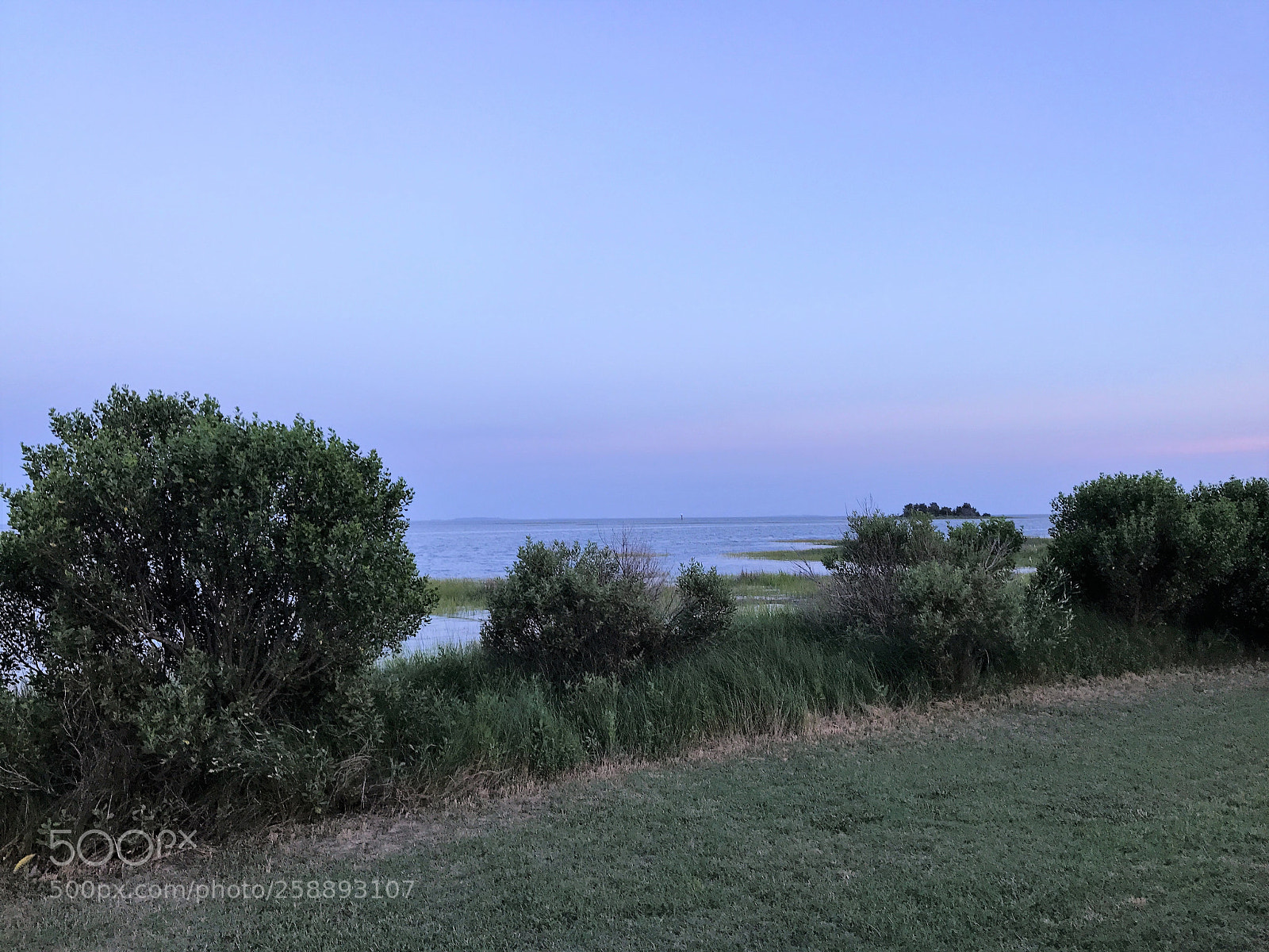 Apple iPhone 7 sample photo. 2017-06-23 20.28.22.jpg photography