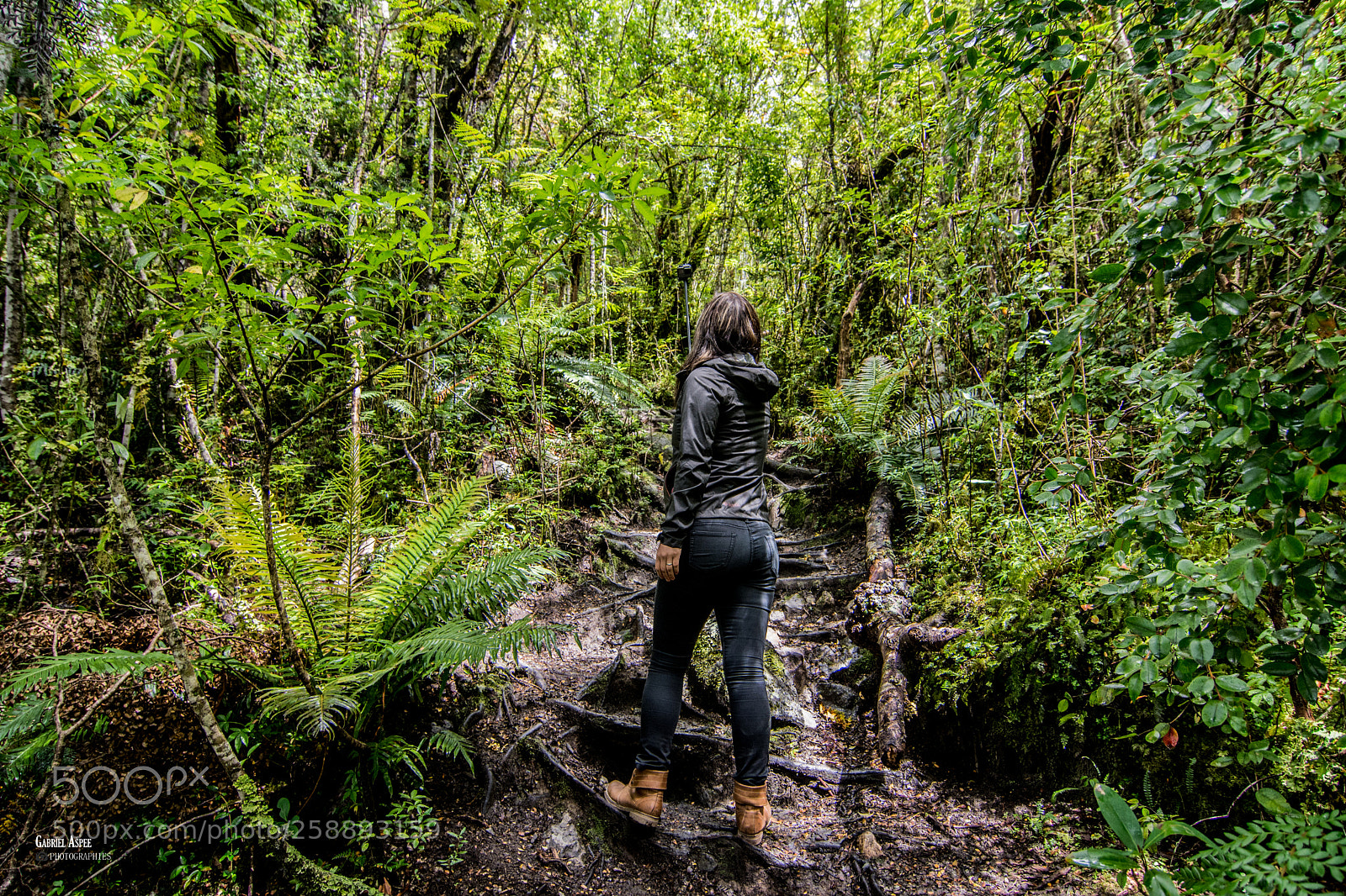 Nikon D7100 sample photo. Walk around. glaciar exploradores photography