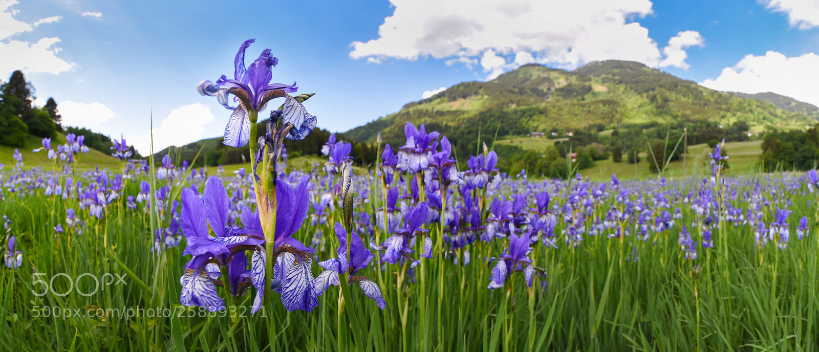 Nikon D750 sample photo. Wer ist der gr photography