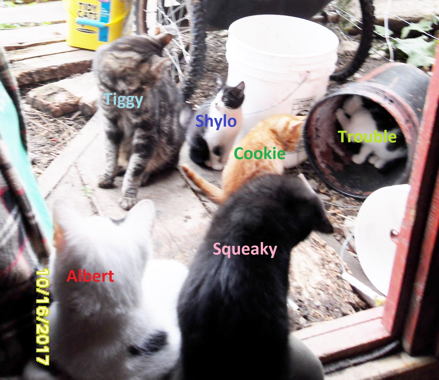 Samsung PL60 / VLUU PL60 /  SL420 sample photo. No easy task... photography