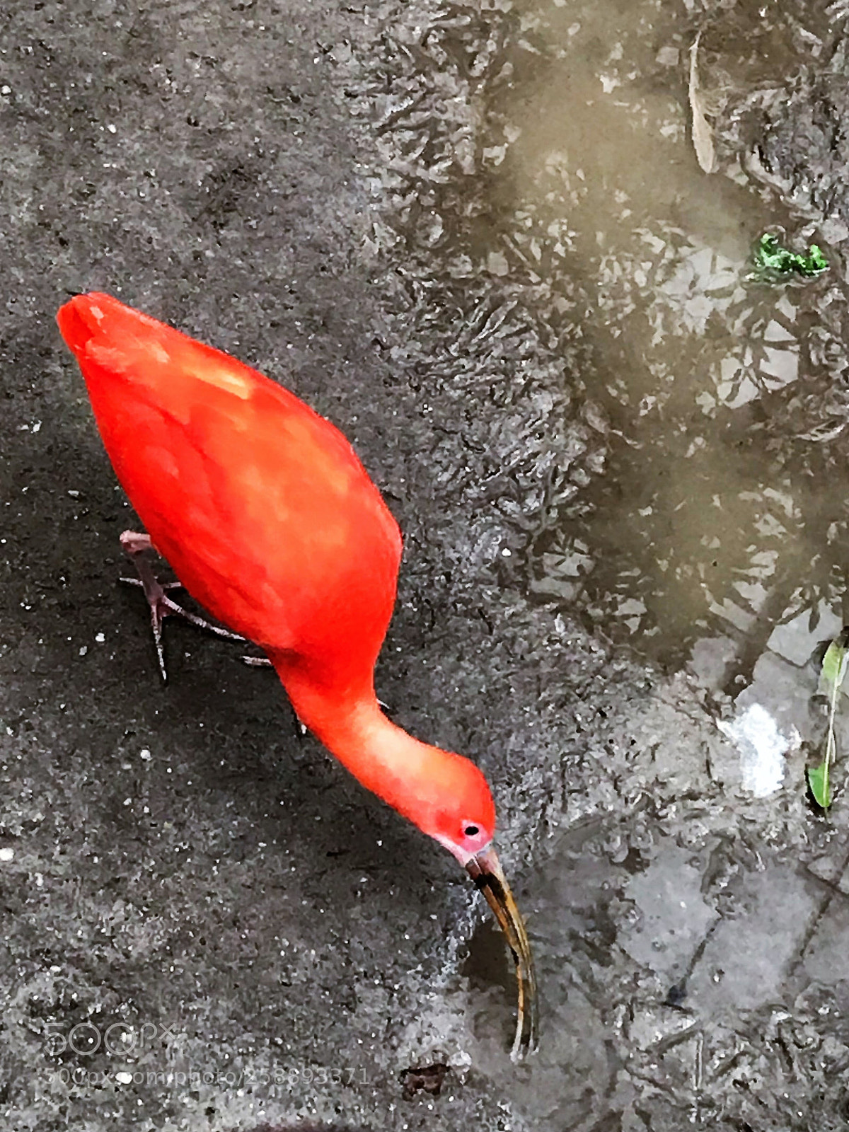 Apple iPhone 7 sample photo. 2018-02-24 13.44.26.jpg photography