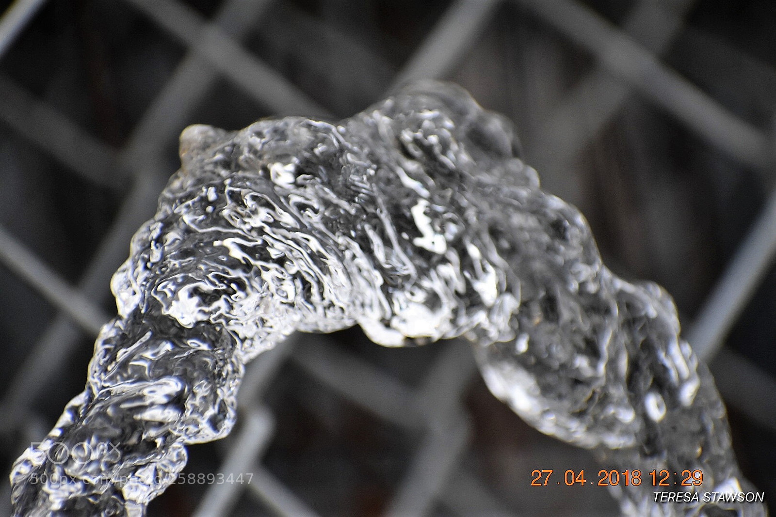 Nikon D3400 sample photo. 2018-04-27 12.29.23.jpg photography