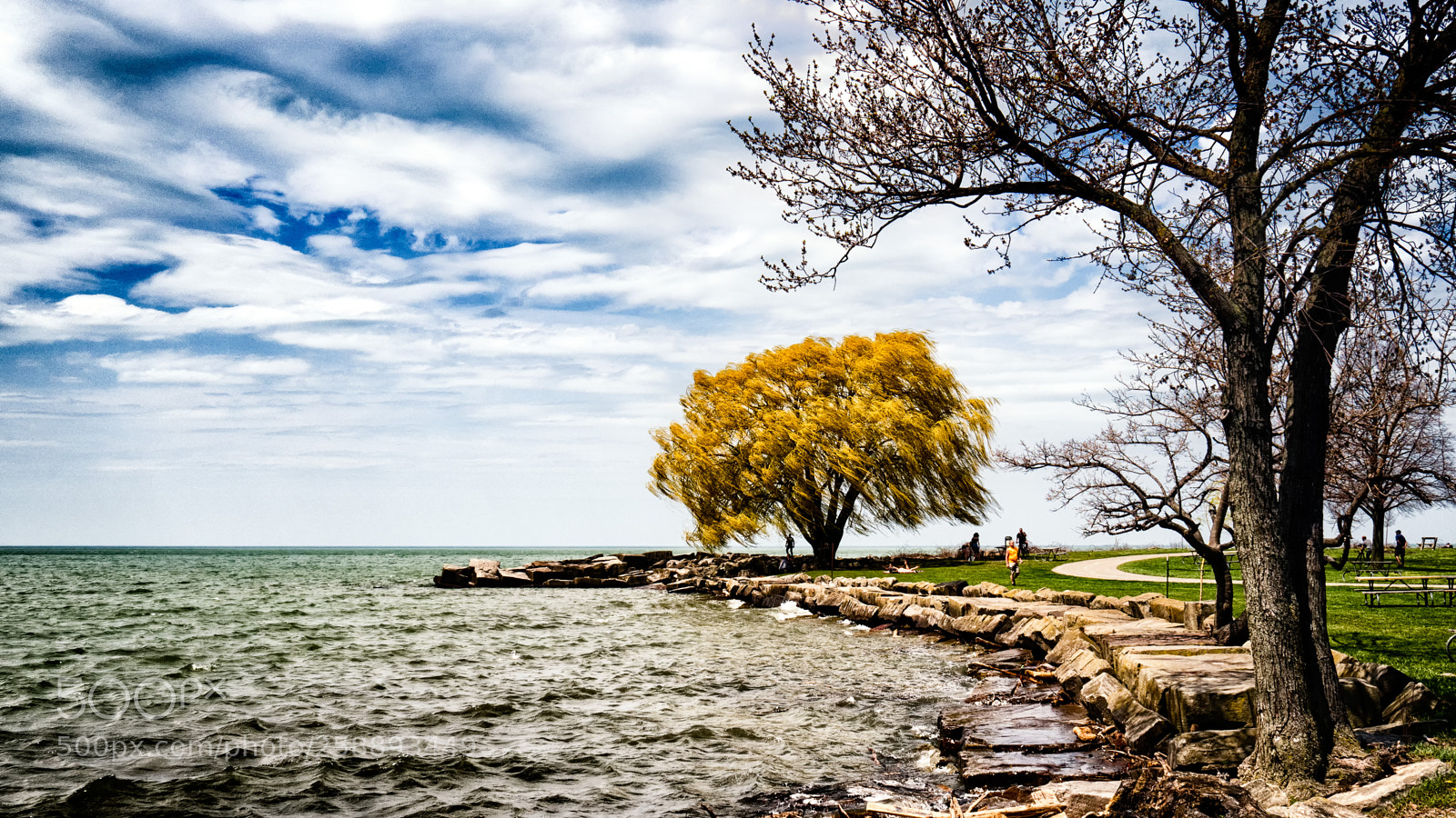 Olympus PEN-F sample photo. By the lake (color) photography