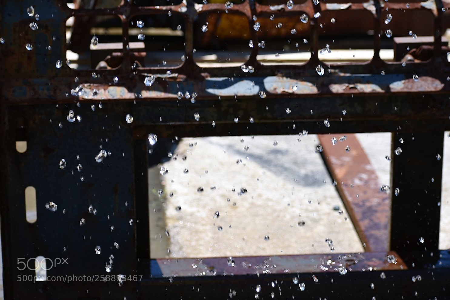 Nikon D3400 sample photo. 2018-05-11 12.47.33.jpg photography