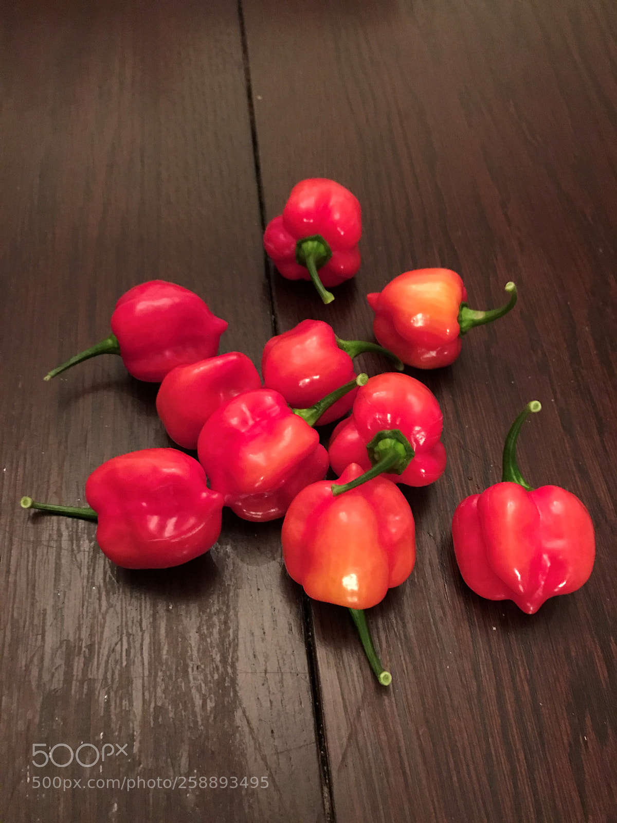 Apple iPhone 7 sample photo. October harvest photography