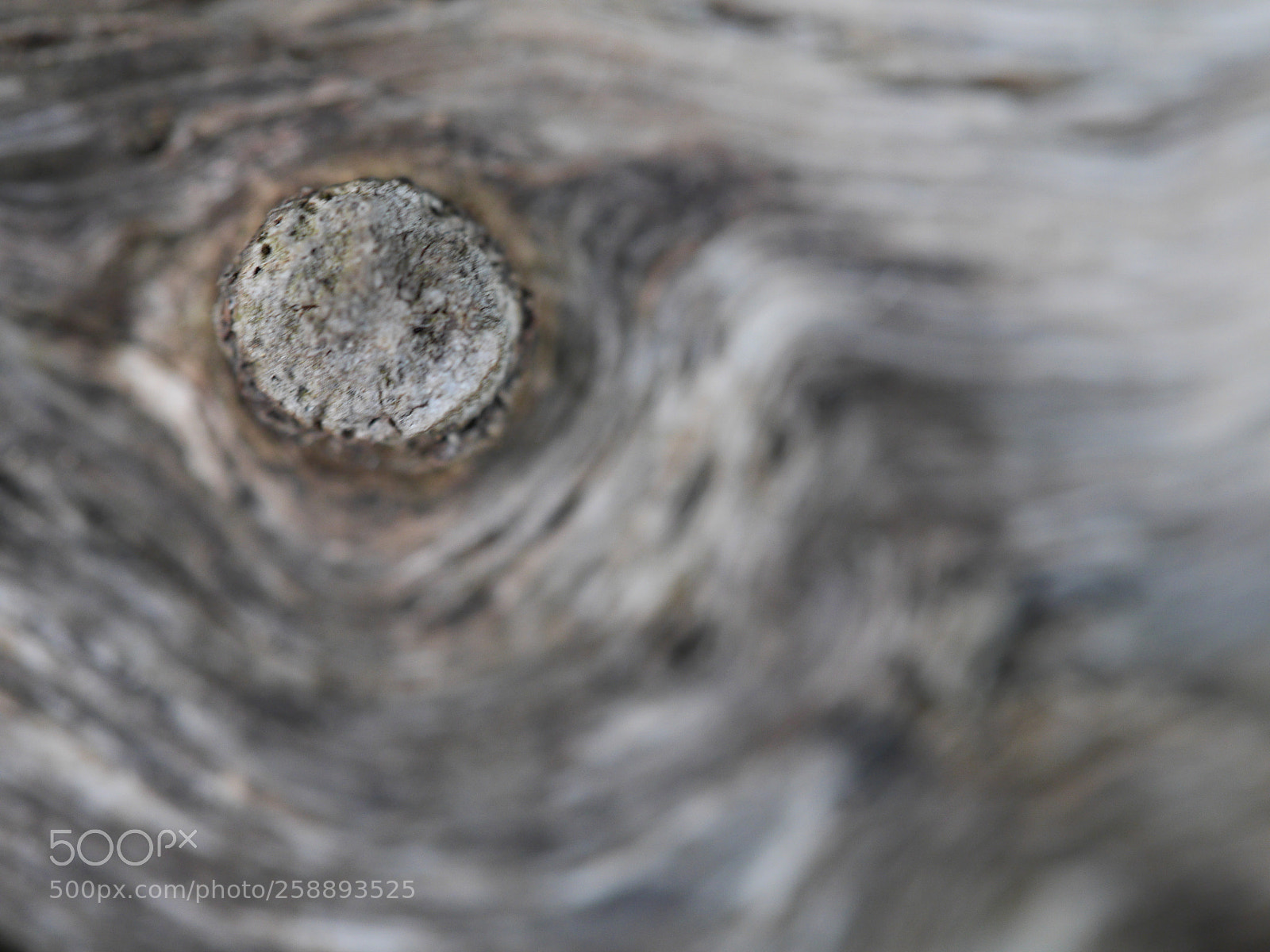 Panasonic Lumix DMC-GH3 sample photo. Untitled photography