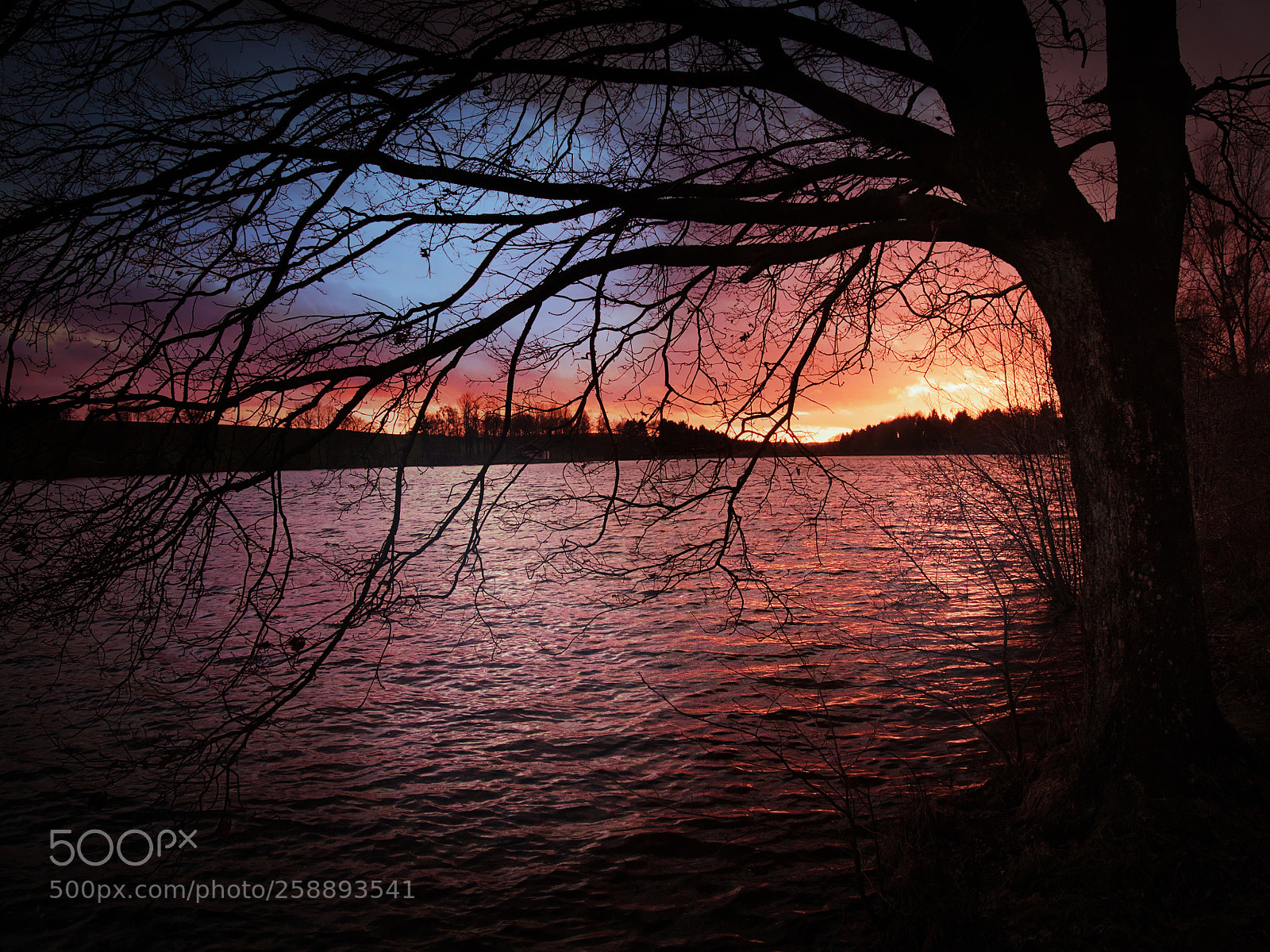 Olympus OM-D E-M5 II sample photo. Dezemberfarben photography