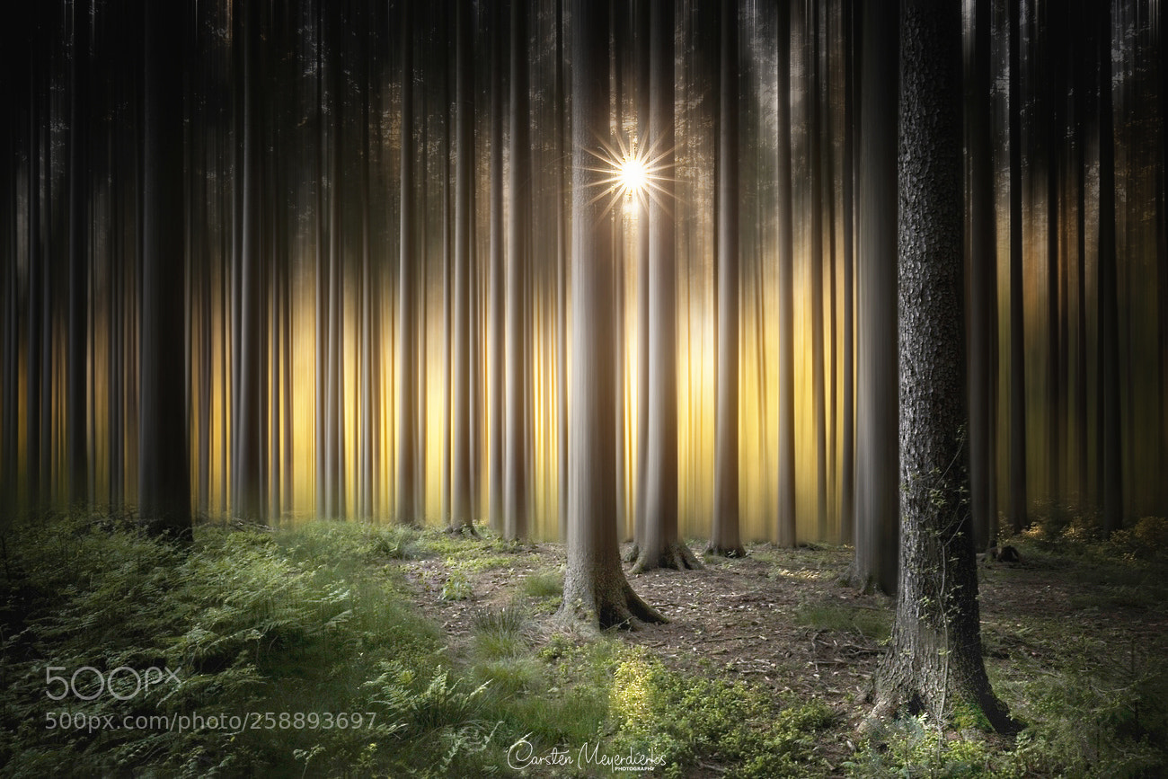 Canon EOS 6D sample photo. Star light photography