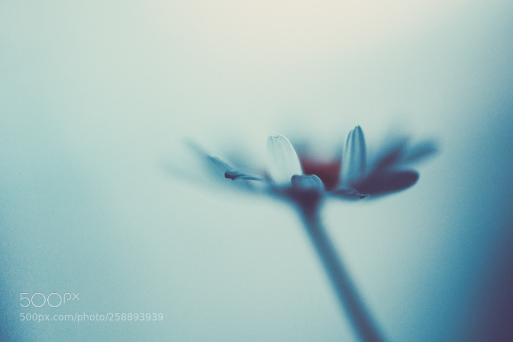 Canon EOS 6D sample photo. Minimalisme photography