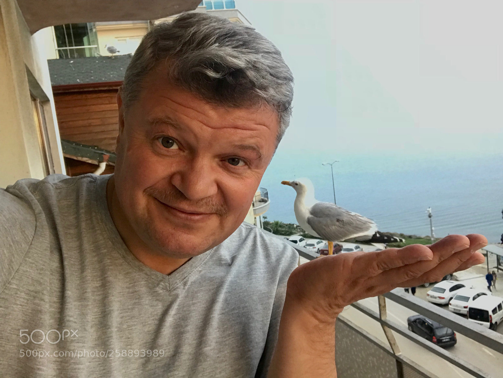 Apple iPhone 7 sample photo. Selfy with seagull photography