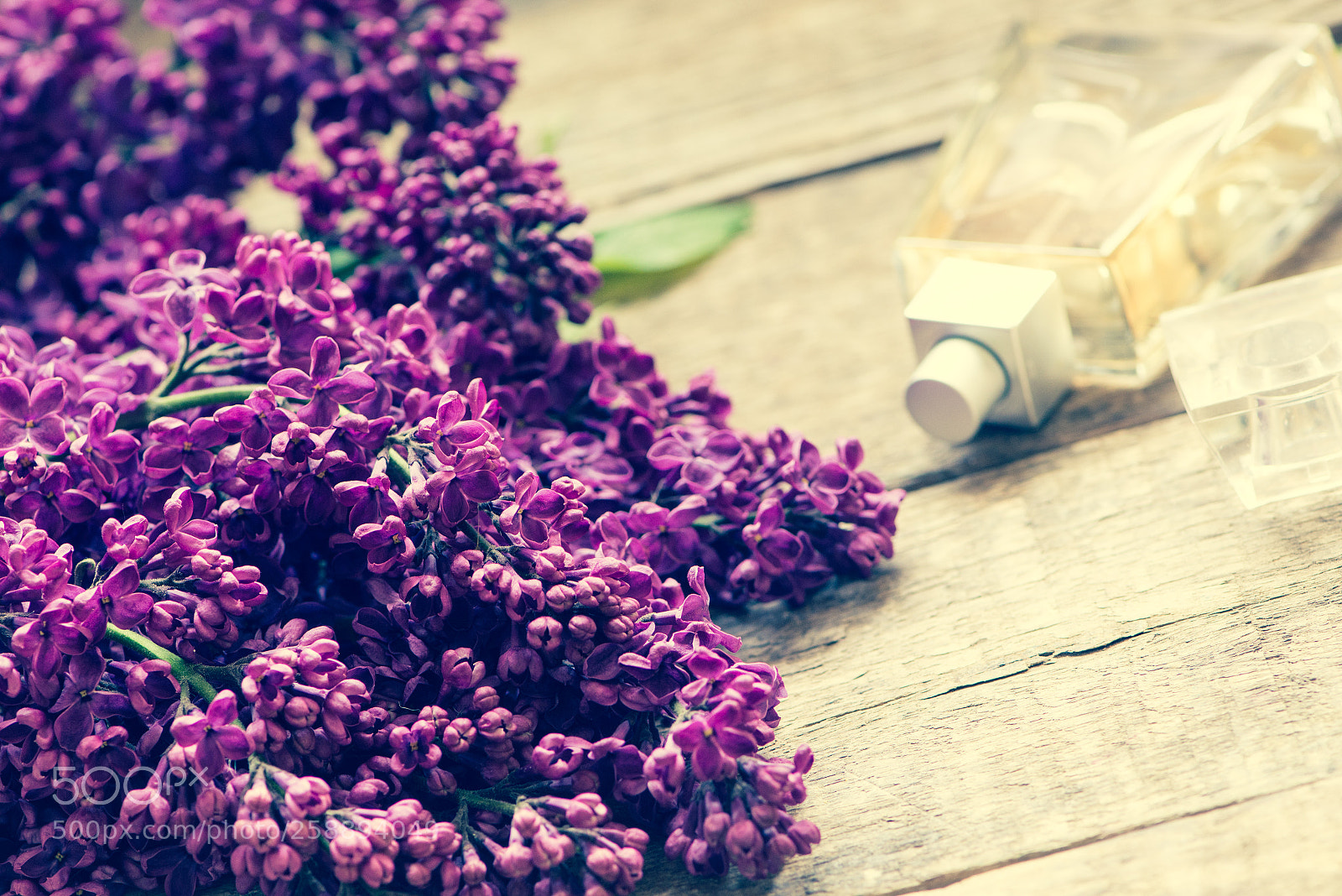 Nikon D800E sample photo. Lilac photography