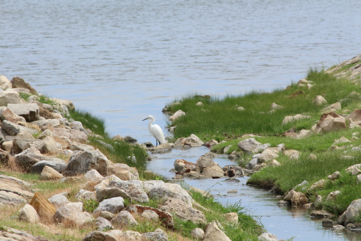 Canon EOS 700D (EOS Rebel T5i / EOS Kiss X7i) sample photo. Lake inlet shore watch photography