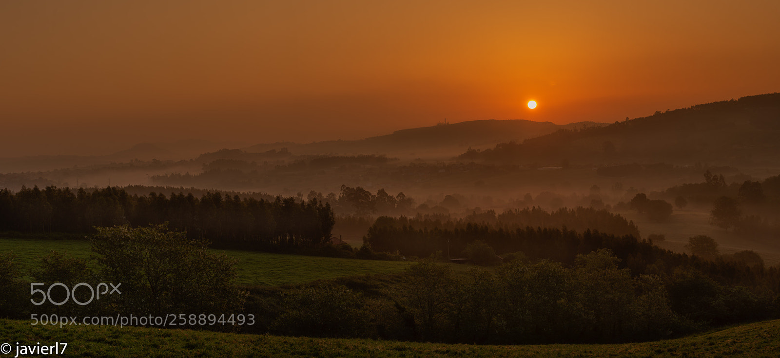 Nikon D800 sample photo. Sol de primavera photography