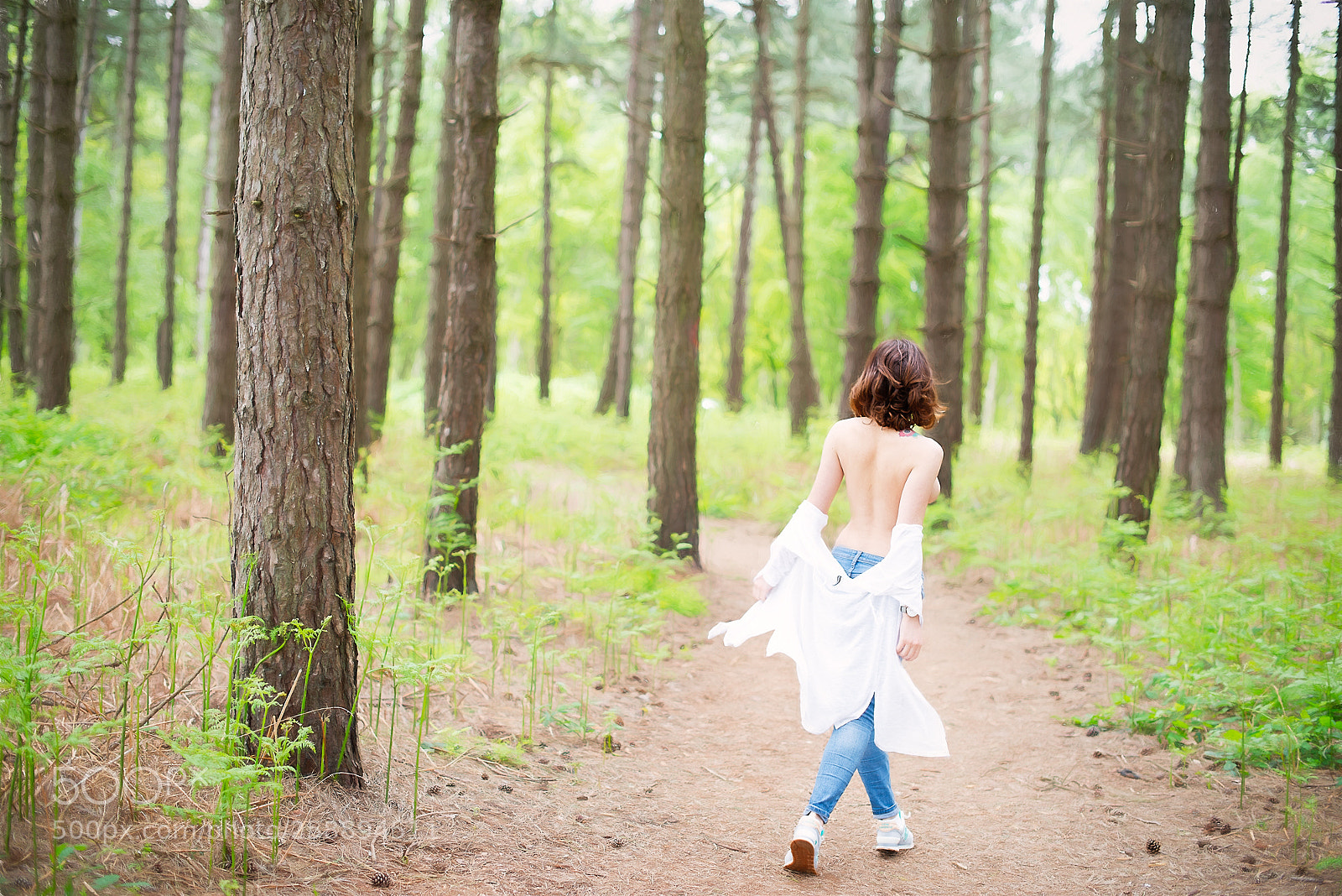 Nikon D800 sample photo. A stroll photography