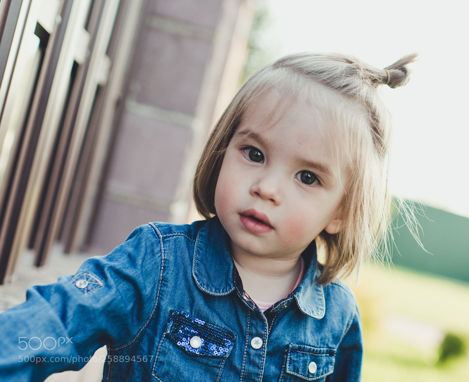 Nikon D800E sample photo. Untitled photography