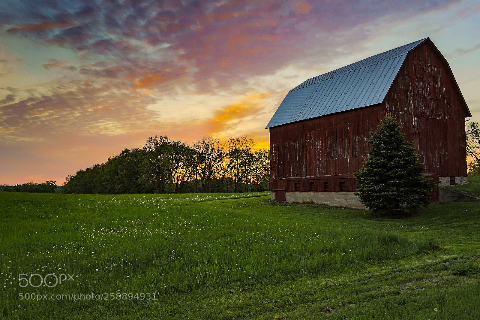 Canon EOS 6D sample photo. Old barn in caledonia photography