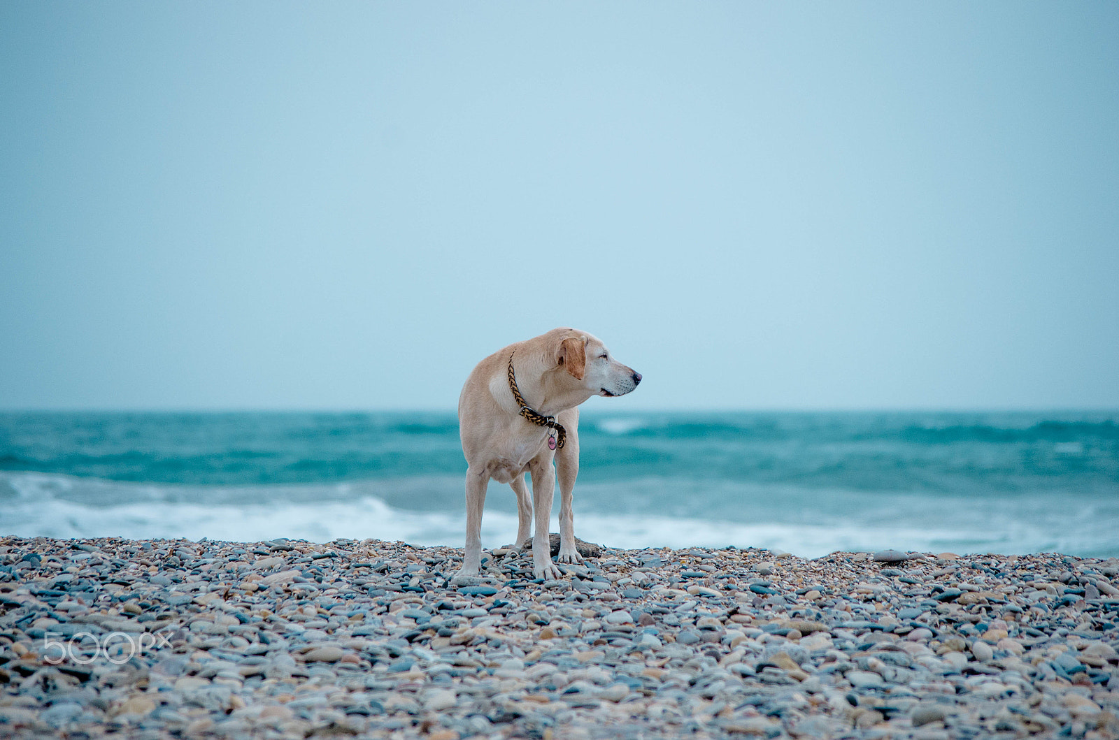 Pentax K-5 II sample photo. Beach france photography