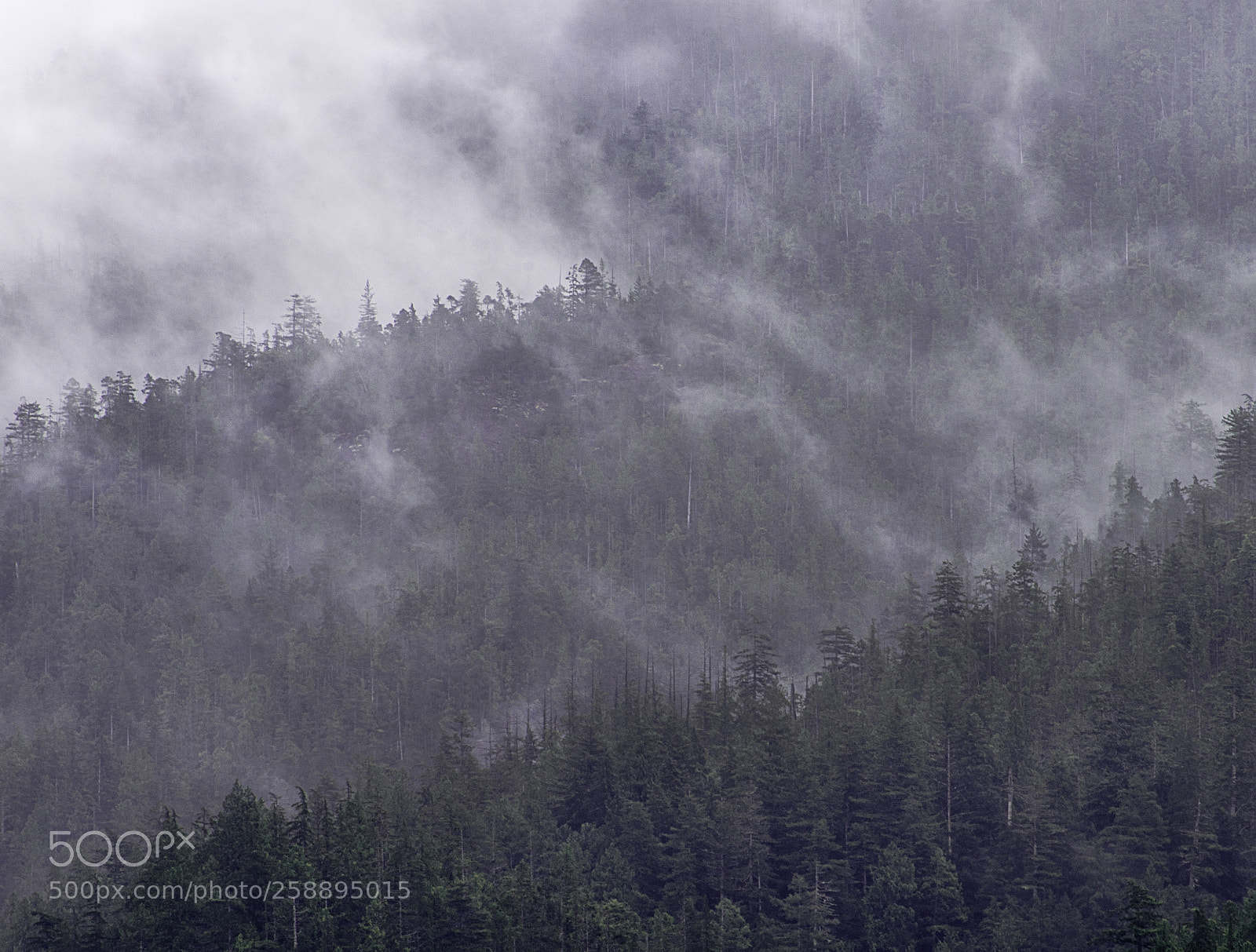 Sony a7R sample photo. Drifting cloud photography