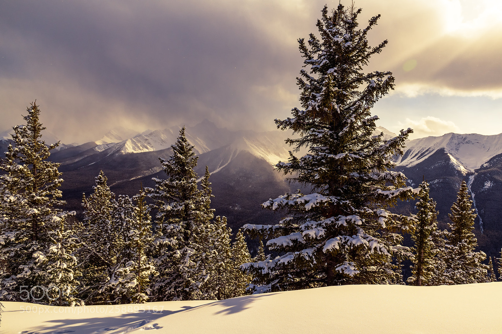 Nikon D850 sample photo. Snowy mountain banff canada photography