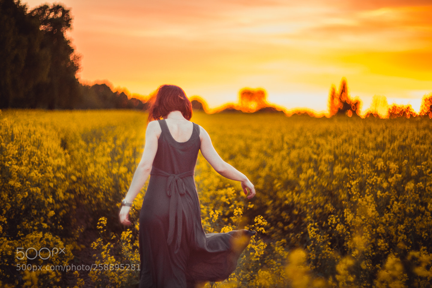 Canon EOS 5D Mark IV sample photo. Tanya photography