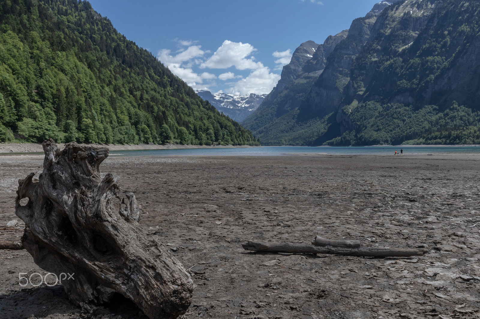 Canon EOS M6 sample photo. Wood structure at lake kloental photography