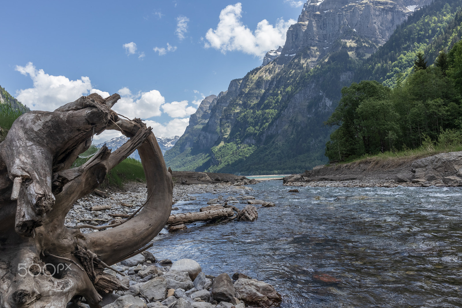 Canon EOS M6 sample photo. Tree structure at the creek to lake kloental photography