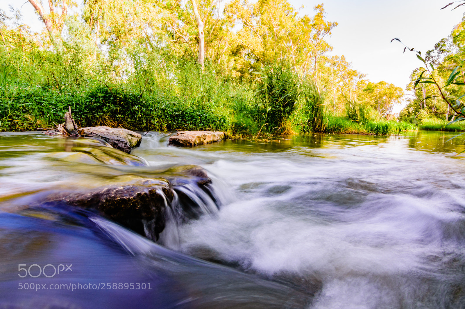 Nikon D7200 sample photo. View from the water photography