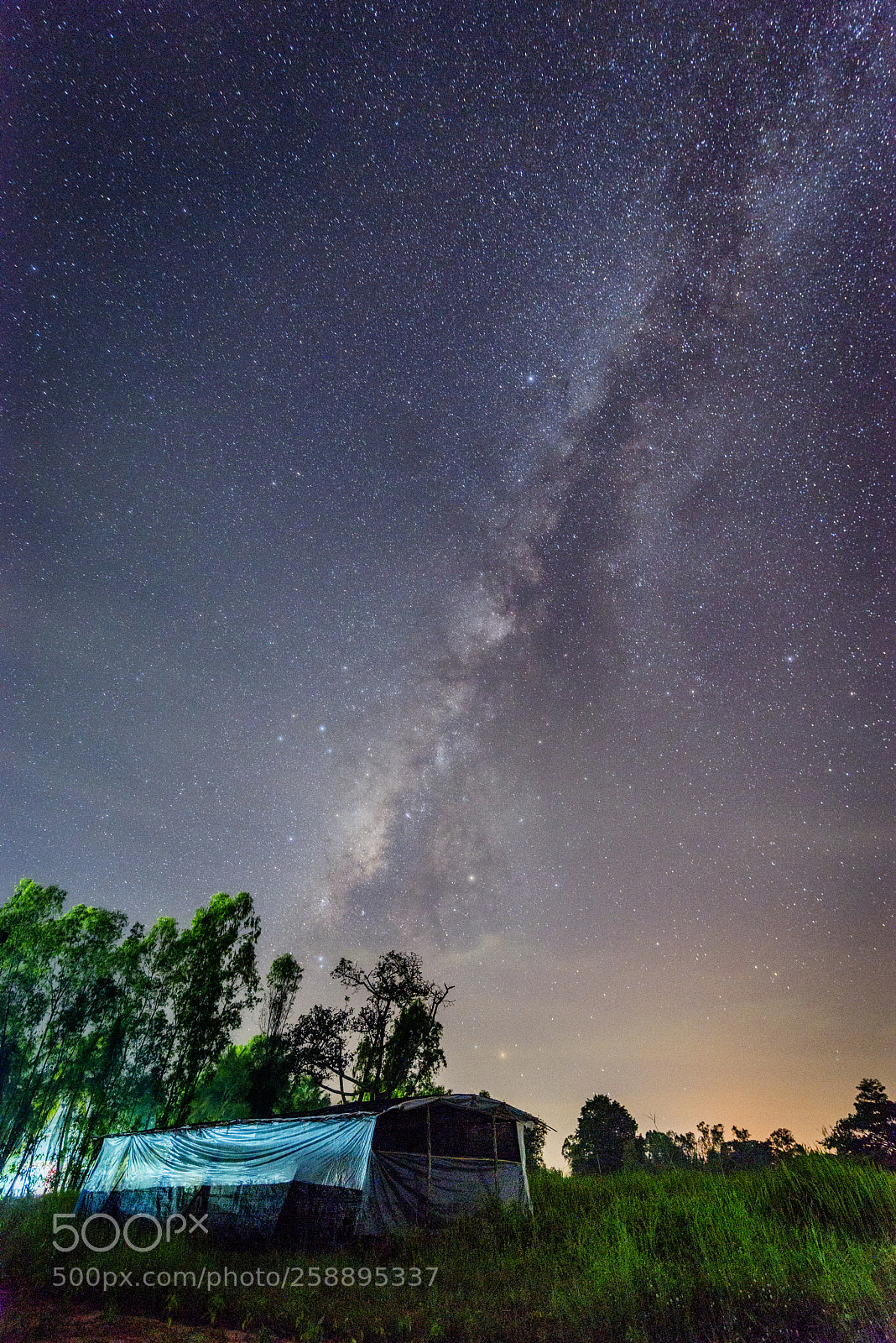 Nikon D800E sample photo. The milky way in photography