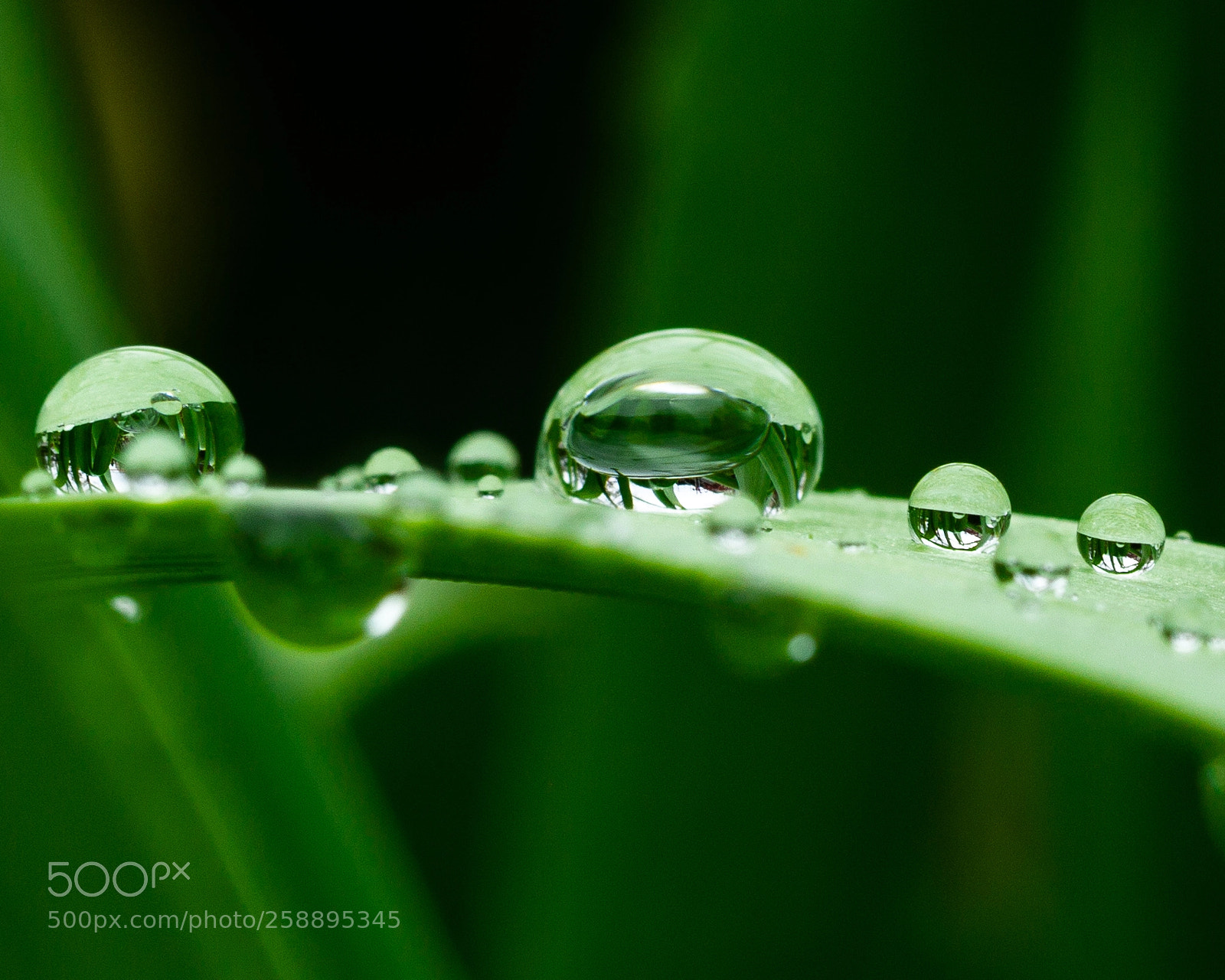 Canon EOS 700D (EOS Rebel T5i / EOS Kiss X7i) sample photo. Misty water drops photography