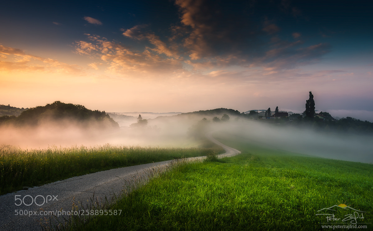 Nikon D810 sample photo. Foggy road photography