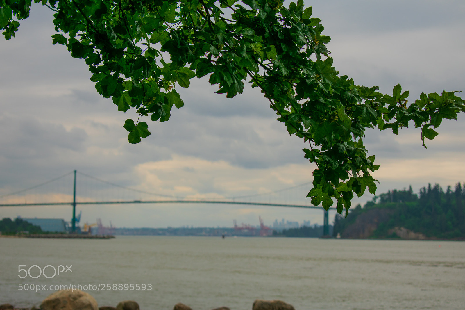 Nikon D3400 sample photo. Cloudy day photography