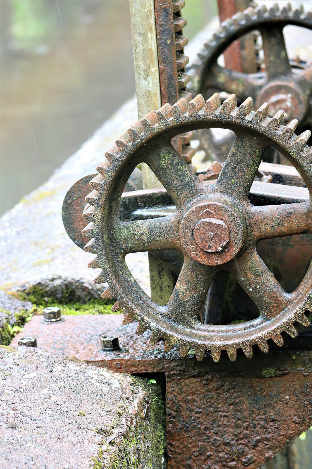 Canon EOS 750D (EOS Rebel T6i / EOS Kiss X8i) sample photo. Gears photography