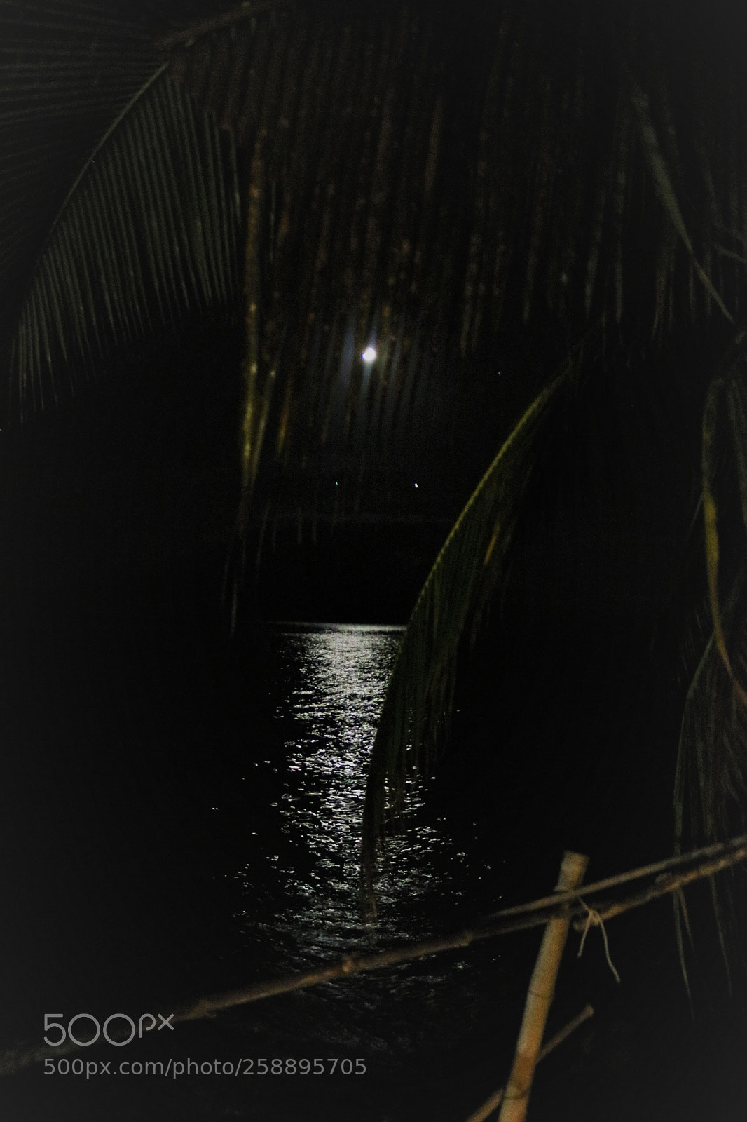 Canon EOS 750D (EOS Rebel T6i / EOS Kiss X8i) sample photo. Moon glow photography