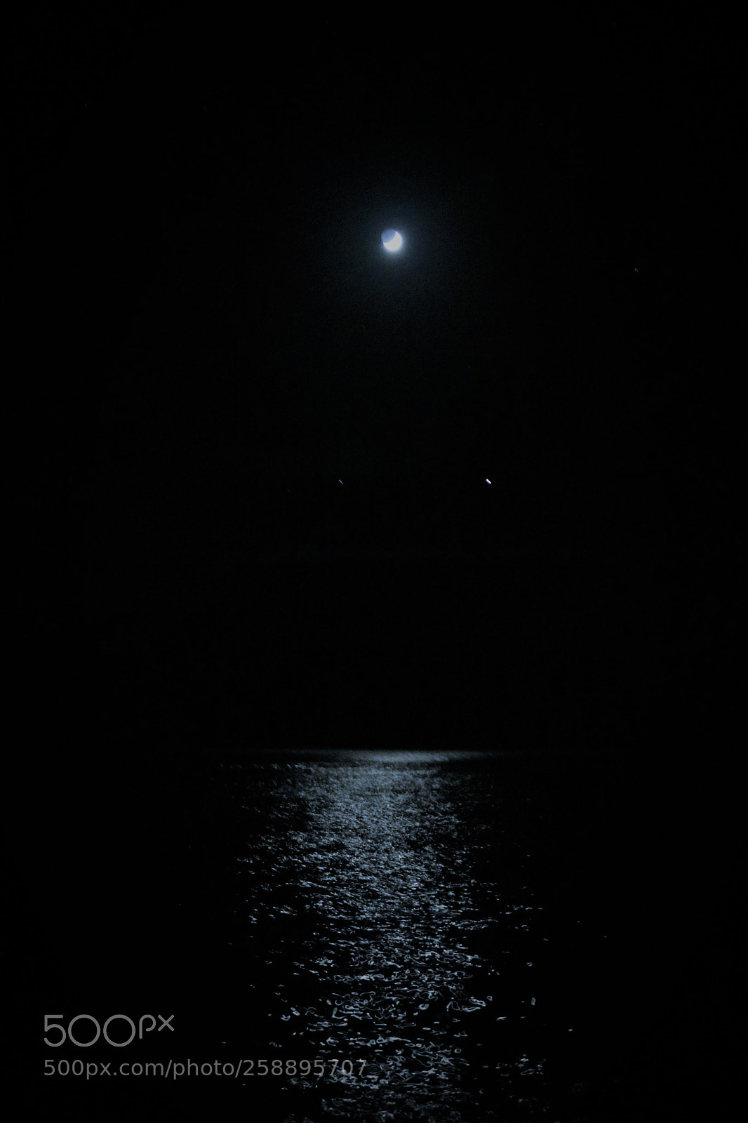 Canon EOS 750D (EOS Rebel T6i / EOS Kiss X8i) sample photo. Moonshine photography