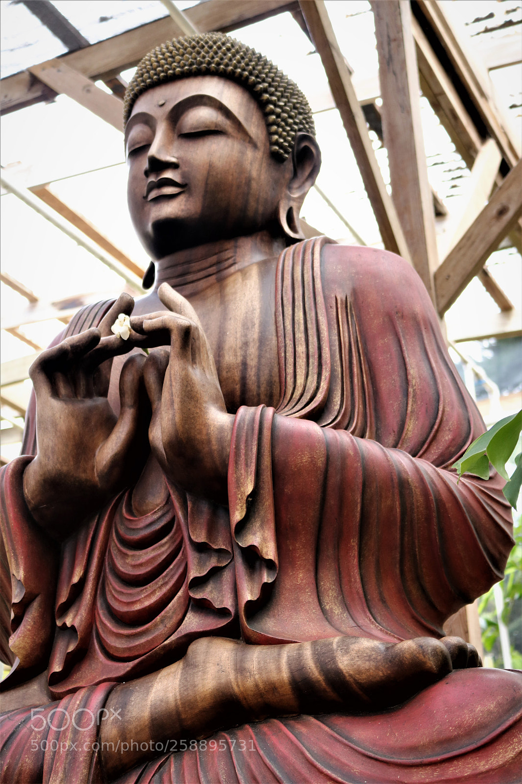 Canon EOS 750D (EOS Rebel T6i / EOS Kiss X8i) sample photo. Zen photography