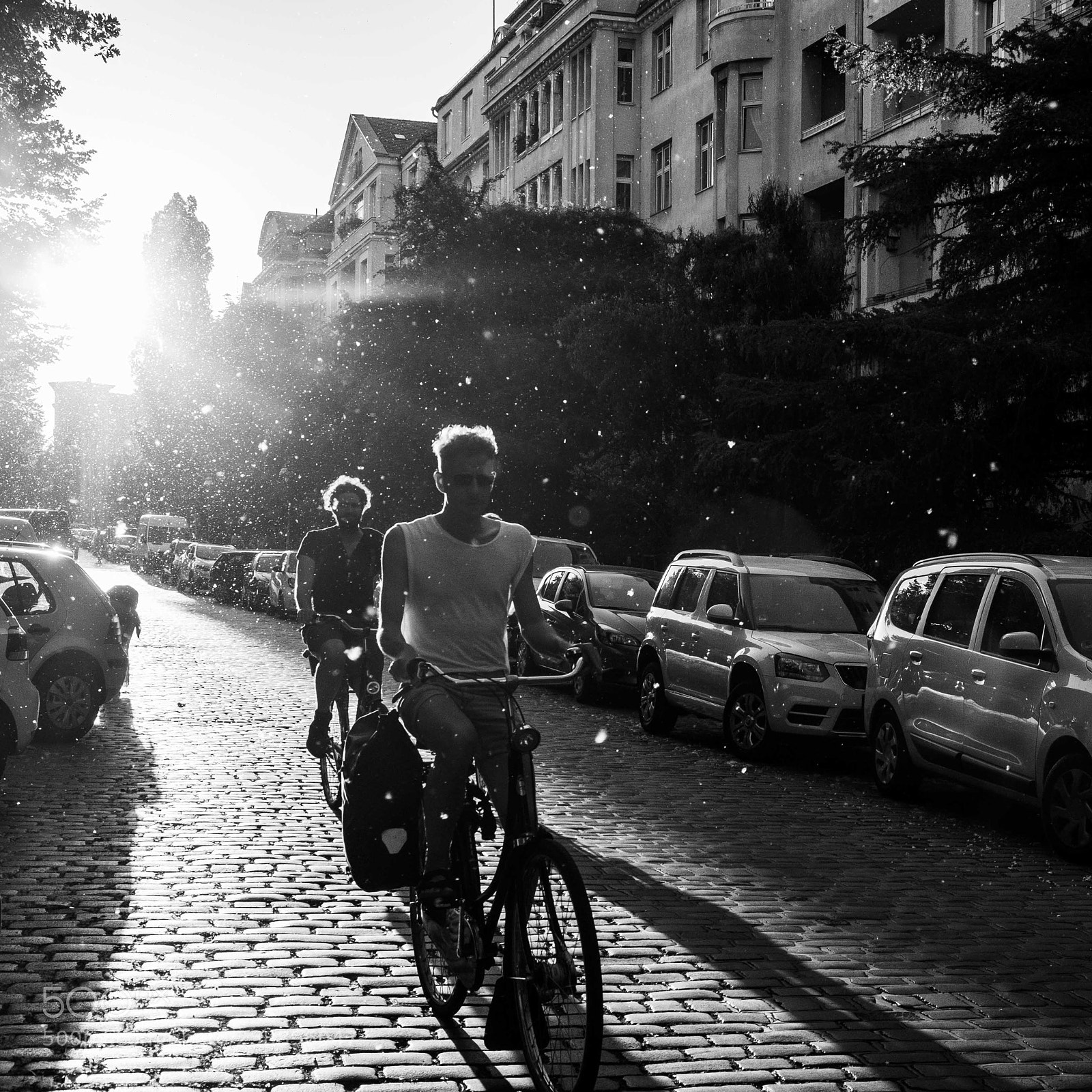 Fujifilm X-Pro1 sample photo. Allergy photography
